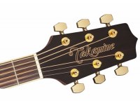 Takamine GD51 - BSB