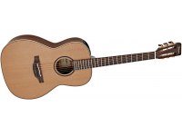 Takamine P3NY