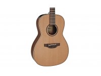 Takamine P3NY