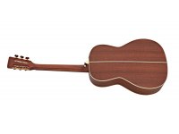 Takamine P3NY