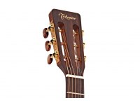 Takamine P3NY