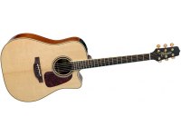 Takamine P4DC