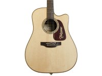 Takamine P5DC