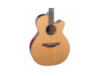 Takamine TSF40C Legacy Series Santa Fe