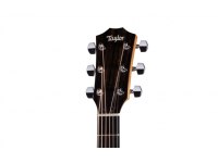 Taylor 110ce-S Sapele