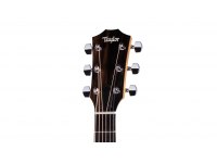 Taylor 112ce-S Sapele