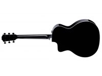 Taylor 214ce-BLK Plus