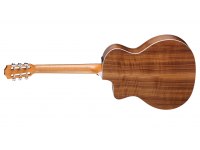 Taylor 214ce-N