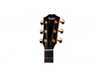 Taylor 224ce-K Deluxe