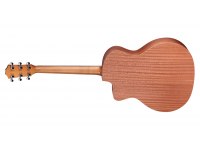Taylor 24ce