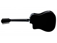 Taylor 250ce-BLK Plus