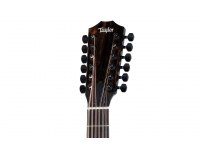 Taylor 250ce-BLK Plus