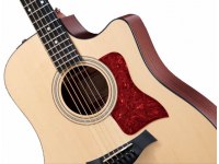 Taylor 310ce