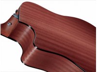 Taylor 310ce