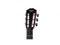 Taylor 312ce 12-Fret