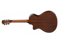 Taylor 312ce 12-Fret