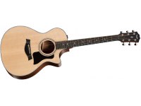 Taylor 312ce