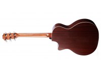 Taylor 314c The Last of Us Replica