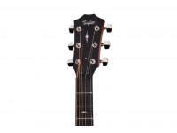 Taylor 317e