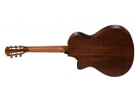 Taylor 322ce 12-Fret
