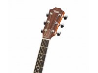 Taylor 416ce