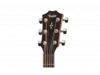 Taylor 417e-R - TS