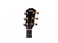 Taylor 50th Anniversary 217e-SB Plus