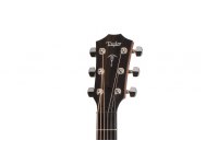 Taylor 512ce Urban Ironbark