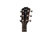 Taylor 514ce Urban Ironbark