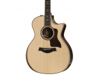 Taylor 814ce DLX V-Class Bracing