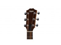 Taylor Baby BBTe Walnut