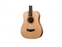 Taylor Baby BT1e