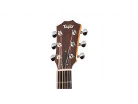 Taylor GS Mini Mahogany