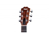 Taylor GS Mini