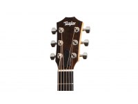 Taylor GS Mini-e Rosewood Plus