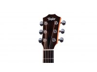 Taylor GS Mini-e Special Edition Paisley Burst