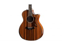 Taylor PS14ce Honduran Rosewood