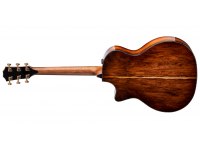 Taylor PS14ce Honduran Rosewood