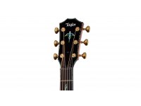 Taylor PS14ce Honduran Rosewood