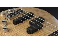 Warwick Streamer LX 4 - Honey Violin