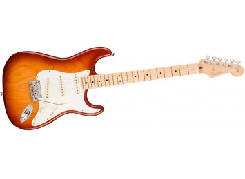 Fender American Professional Stratocaster MN - SSB
