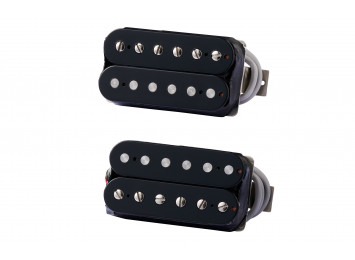 Gibson 496R/500T Set