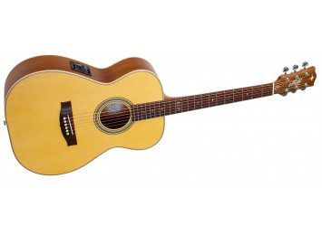 Maton Master Built T.E. Personal