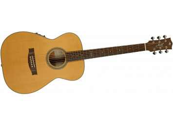 Maton Master Built T.E. Personal