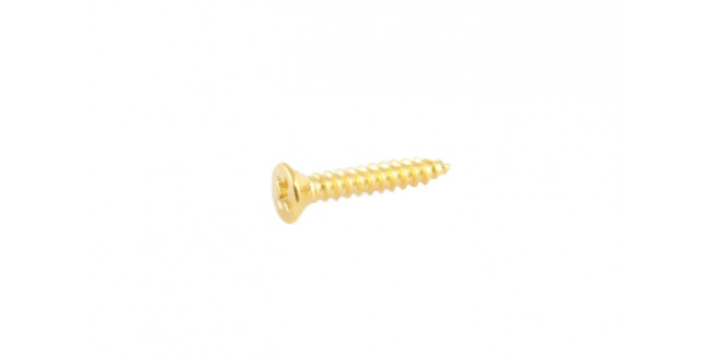 Allparts Short Humbucking Ring Screws - GH