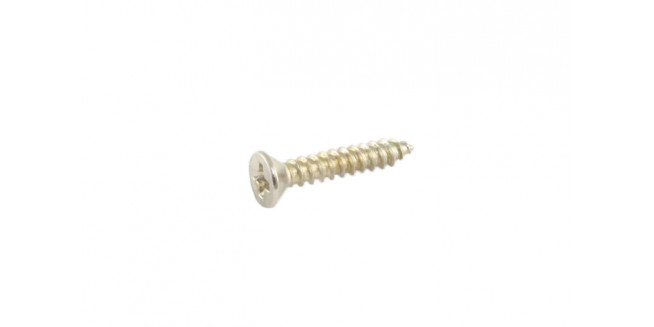 Allparts Short Humbucking Ring Screws - NH