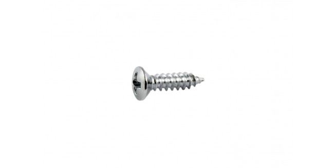 Allparts Standard Pickguard Screws - CH