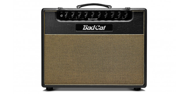 Bad Cat Black Cat 1x12 Combo