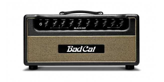 Bad Cat Black Cat Head