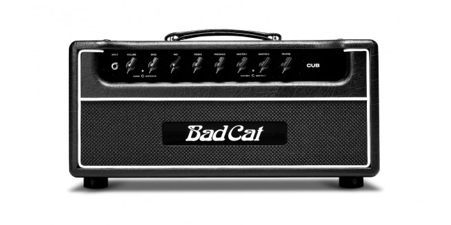 Bad Cat Cub Head